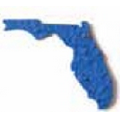 Seed Paper Shape Bookmark - State of Florida Style Shape